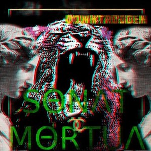 Image for 'SΘNɅT MΘRTUɅ'