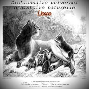 Lionne