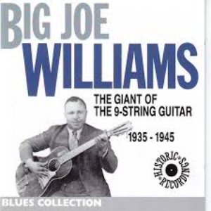 Joe Williams 1935-1945: The Giant of the 9 Strings Guitar (Blues Collection Historic Recordings)
