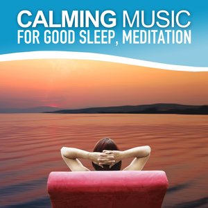 Calming Music for Good Sleep and Meditation (Relaxing Soundscapes Selected for Self-Healing, Music Therapy)