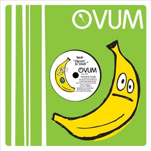 WINK - Stay Out All Night - Zortam Music