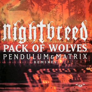 Pack Of Wolves Remixes-RAMM52