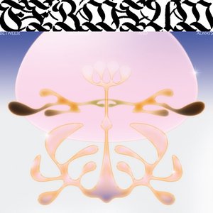 Between Nothing and Always