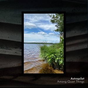 Among Quiet Things