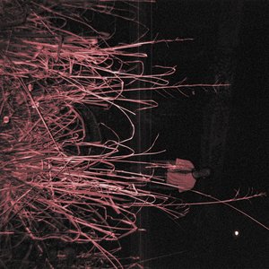 Your Dinner Is Ready - Single