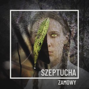 Zamowy