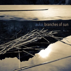 Branches Of Sun