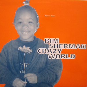 Crazy World cover