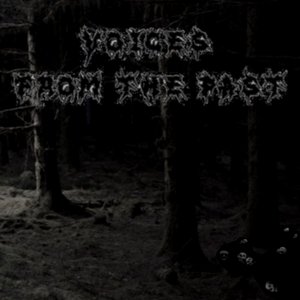 Voices From The Past 的头像