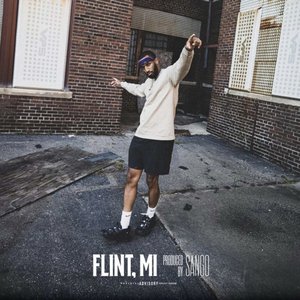 MearlGo 8 (Flint, MI)