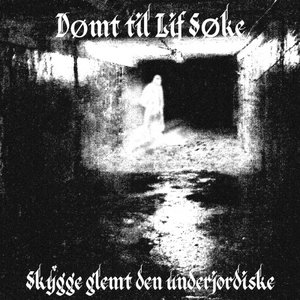 Dømt til Lif Søke 的头像