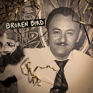 Broken Bird - Single