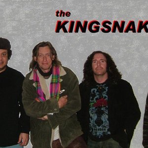 Avatar for The Kingsnakes