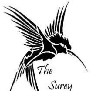 The Surey 的头像