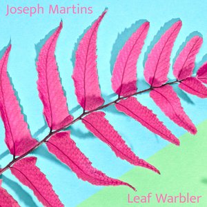 Leaf Warbler