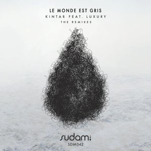 Le Monde Est Gris (The Remixes)