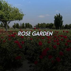 Rose Garden