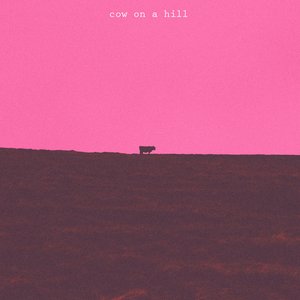 Cow On A Hill
