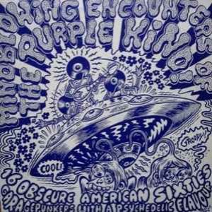 Mindblowing Encounters Of The Purple Kind! (16 Obscure American Sixties Garagepunkers With A Psychedelic Flavour)