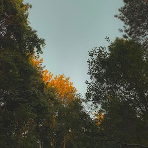 Replace Me - Single