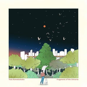 Fragments Of The Universe