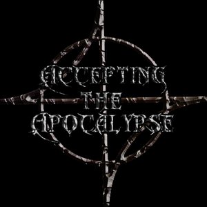 Accepting the Apocalypse 的头像