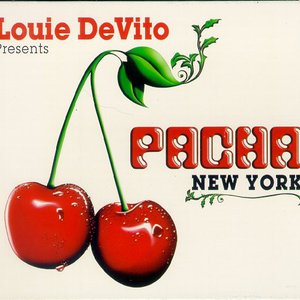 Pacha New York