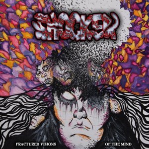 Fractured Visions Of The Mind