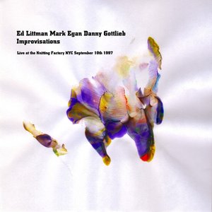 Ed Littman, Mark Egan, Danny Gottlieb- Improvisations