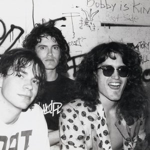 Meat Puppets Profile Picture