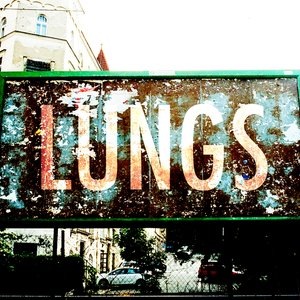 LUNGS demos