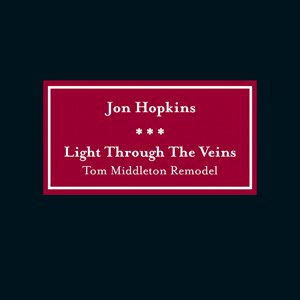 'Light Through The Veins (Tom Middleton Remodel)'の画像