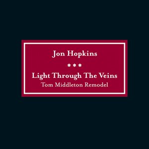 Light Through The Veins (Tom Middleton Remodel)