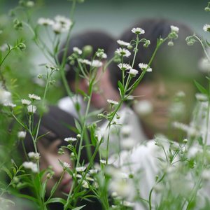 “SII”的封面