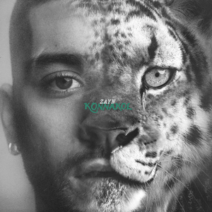 Zayn - Sideways Lyrics - Zortam Music