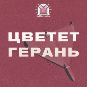 Цветет герань - Single