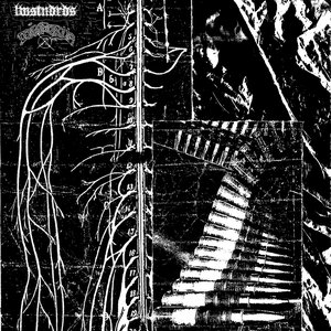 LWSTNDRDS / Disforija split