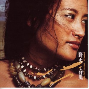 野火春风