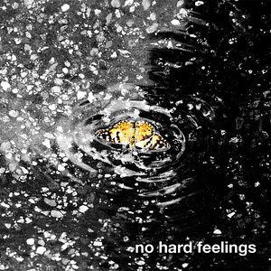 No Hard Feelings