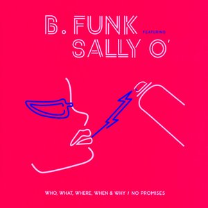 B. Funk featuring Sally O' 的头像
