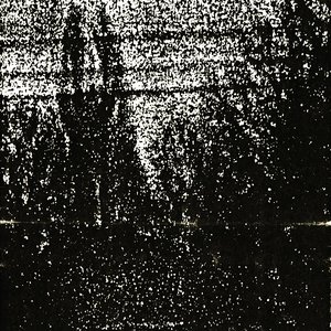 Avatar di Susan Vezey