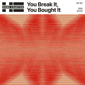 You Break It, You Bought It - EP