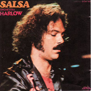 Salsa cover
