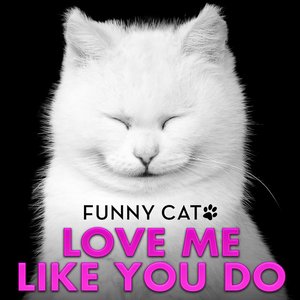 Love Me Like You Do (From "50 Shades of Grey") [Funny Cats Singing Version]