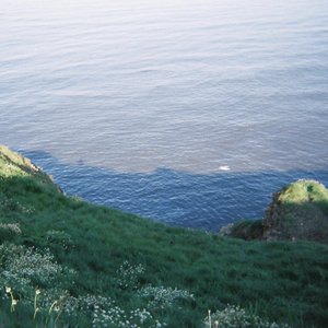 In View