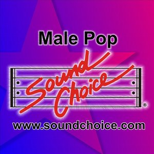 Karaoke - Classic Male Pop - Vol. 23