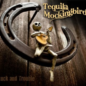 “Luck and Trouble by Tequila Mockingbird”的封面