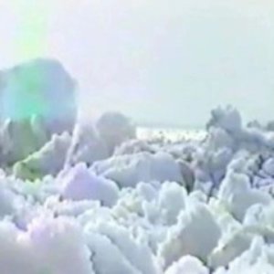 orchid.exe için avatar