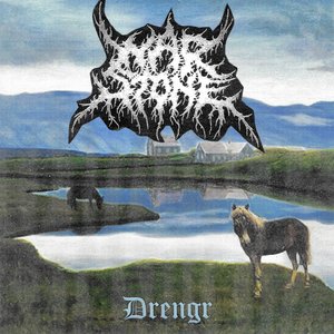 Drengr