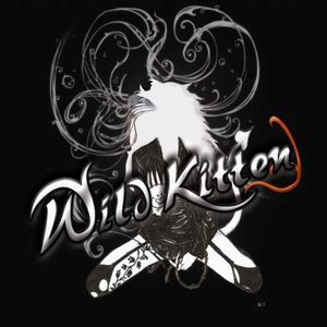 Wild Kitten 的头像